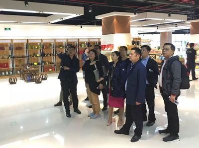 新加坡臺灣聯合考察團探訪武漢火鳳凰公司 共商創新教育綜合體投資新機遇